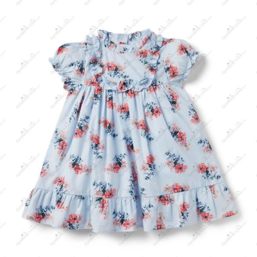 Janie and Jack Ruffle Sky Blue Floral Dress